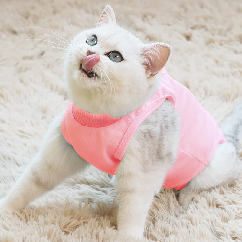 Fayemint Recovery Suit Cat, Pet Protective Clothing, Recovery Suit Cat Pink, for Surgery, Treatment, Weaning and Castration of Skin Diseases in Pets (M, Pink) - PawsPlanet Australia
