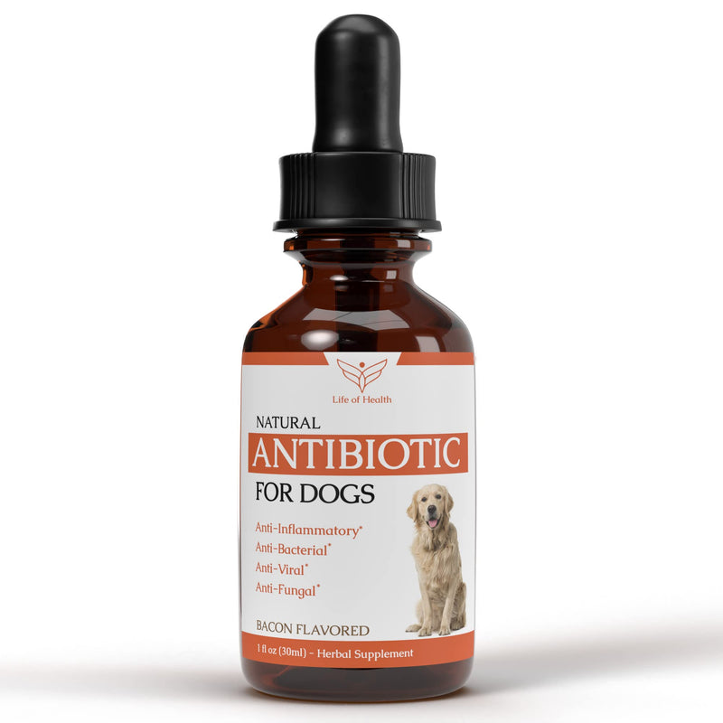 Natural Dog Antibiotics | Antibiotics for Dogs | Helps Support a Healthy Immune System | Supports Dog Allergy Relief | Dog Itch Relief | Dog Multivitamin | Pet Antibiotics | Dog Antibiotic | 1 fl oz - PawsPlanet Australia