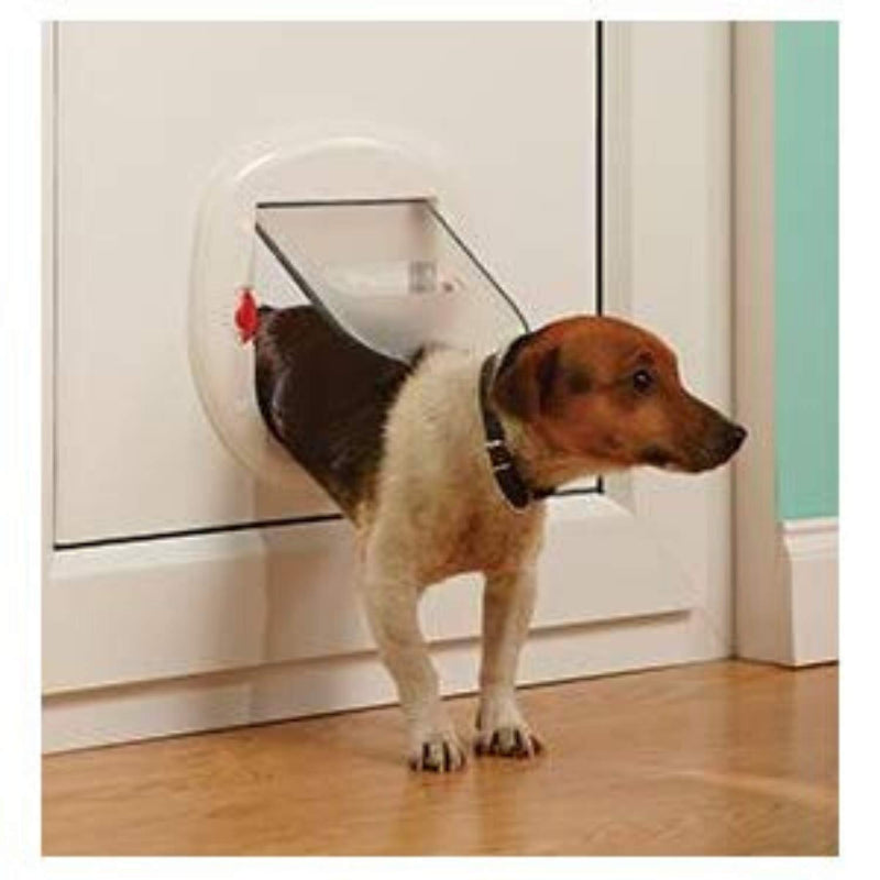 PetSafe Staywell Big Cat/Small Dog Pet Door Frosted - PawsPlanet Australia