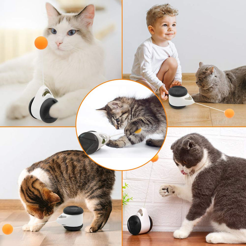 FASTER Balanced Cat Toy with Ball, Interactive Cat Toy for Indoor Cats Rotating Rolling Balls Balance Swing Cat IQ Training Toy for Kitten/Cats Black-White - PawsPlanet Australia