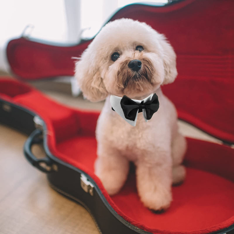 HACRAHO Tux Dog Bowtie, 1 Piece White Adjustable Pet Neck Tie Tuxedo Bow Tie and Collar for Small Dogs Cats for Wedding Birthday Party L - PawsPlanet Australia