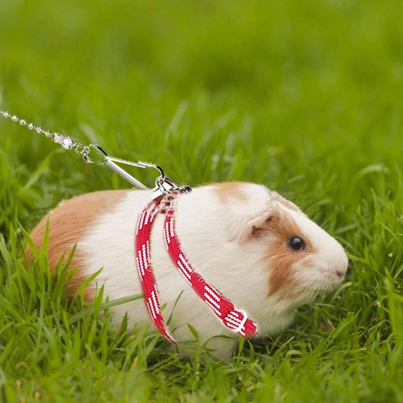 NA Adjustable Pet Hamster Harness Rope Harness and Leash for Small Animals - PawsPlanet Australia