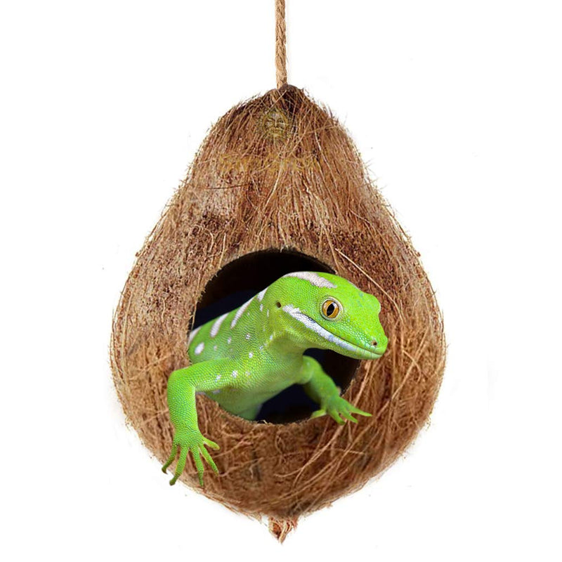 SunGrow Crested Gecko Coco Hut,Treat & Food Dispenser, Sturdy Hanging Home, Climbing Porch, Hiding, Sleeping & Breeding Pad, 4.5” Round Coconut Shell with 2.5” Opening, 1 Piece - PawsPlanet Australia