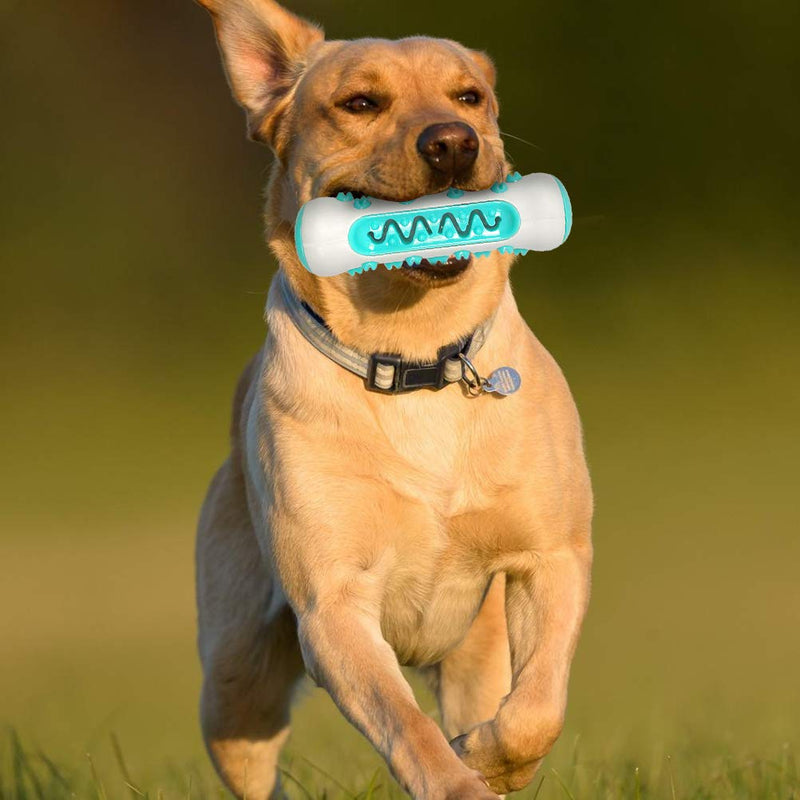 Safe Dog Chew Rope Toys for Small Middle Dog Dental Care, Natural Rubber Toy Bone Prevents Boredom and Relieves Stress - PawsPlanet Australia