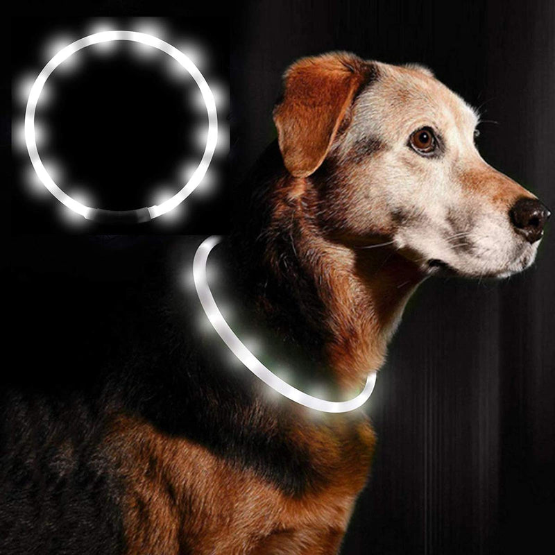 Ewolee Light Up Dog Collar, USB Rechargeable Cuttable Pet Safety Glowing Dog Collar with 3 Flashing Modes, Easy Removal LED Dog Collar for Small Medium Large Dogs Night Walking (White) White - PawsPlanet Australia