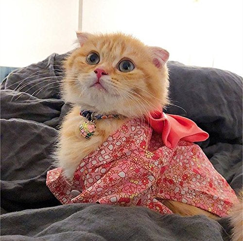 Necoichi Chirimen Temari Dynasty Cat Collar, Handcrafted in Japan, 1 Size fits All, Kimono Fabric Navy - PawsPlanet Australia