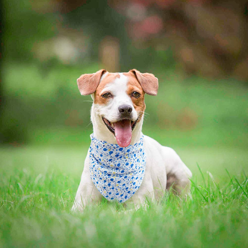 PAWCHIE Floral Series Dog Bandana 5 Pack - Adjustable Soft Cotton Cute Square Bandana for Puppies, Small Dogs Trangle Scarf Daily Wear Blue - PawsPlanet Australia