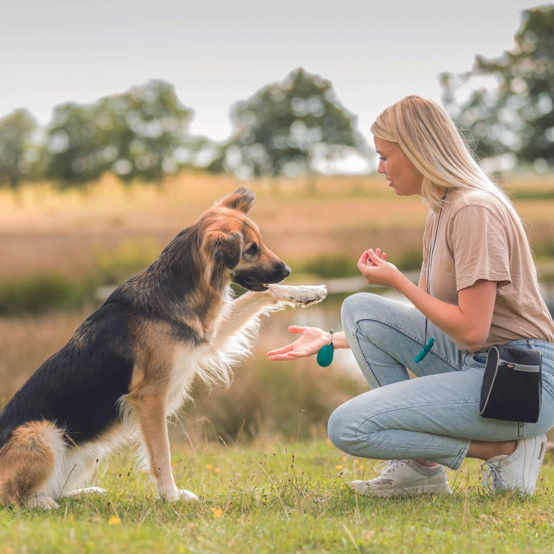 TRIXIE Dog Treats Premio Dog Chicken Bites 100g - Premium Treats for Dogs Gluten Free - No Grain & Sugar, Tasty Reward for Training & Home - 31533 (Pack of 2) - PawsPlanet Australia