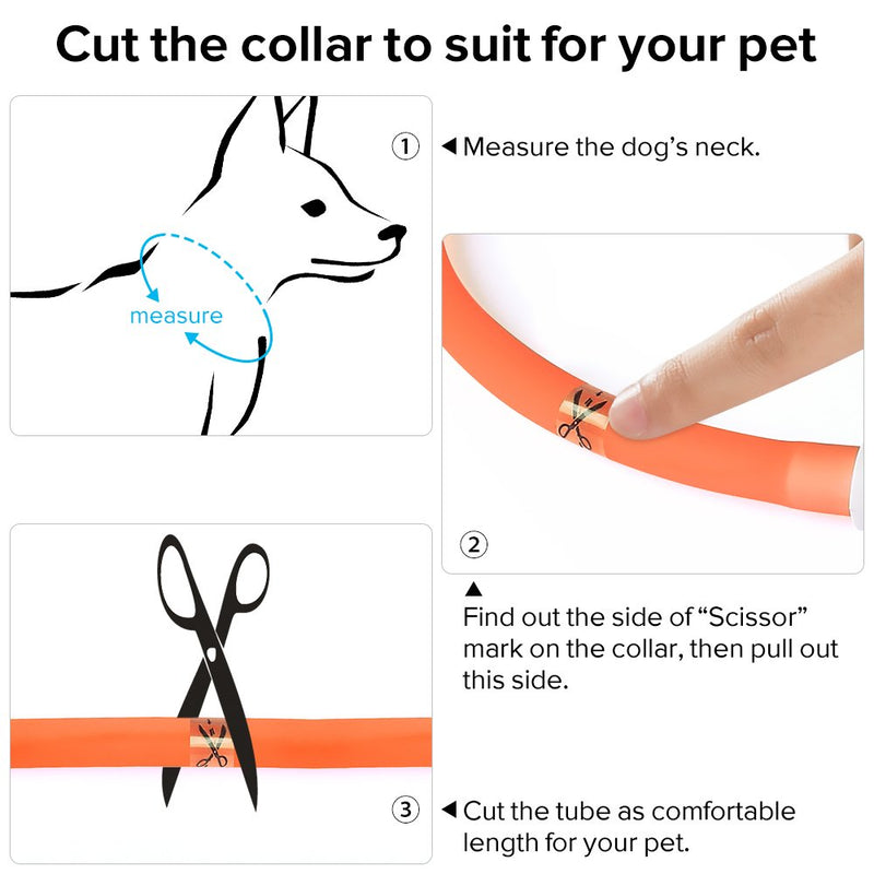 [Australia] - HiGuard LED Dog Collar, USB Rechargeable Glowing Pet Safety Collars, Adjustable Water-Resistant Flashing Light Up Necklace Collar Make Your Dogs High Visible & Safe in the Dark (1 Pack-Orange) 