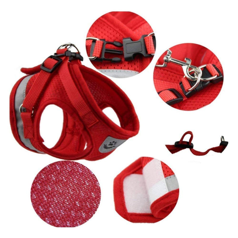 Ducomi Cesar Cat Harness + Leash 120 cm - Breathable Mesh Fabric and Double Anti-leak Closure - Reflective and Reflective Bands (Red, XL) red - PawsPlanet Australia