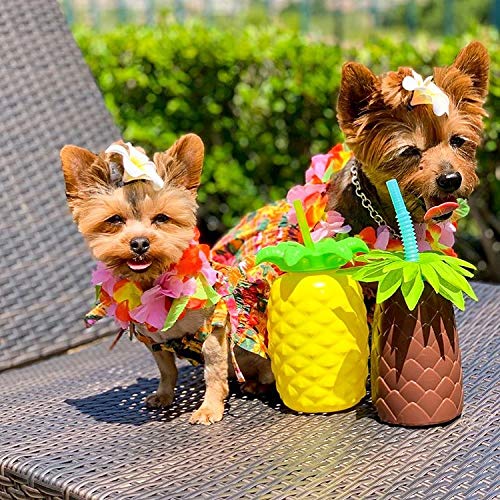 Parisian Pet Dog Summer Camp Hawaiian Flower Tropical Dress, XS Hawaiian Dress - PawsPlanet Australia
