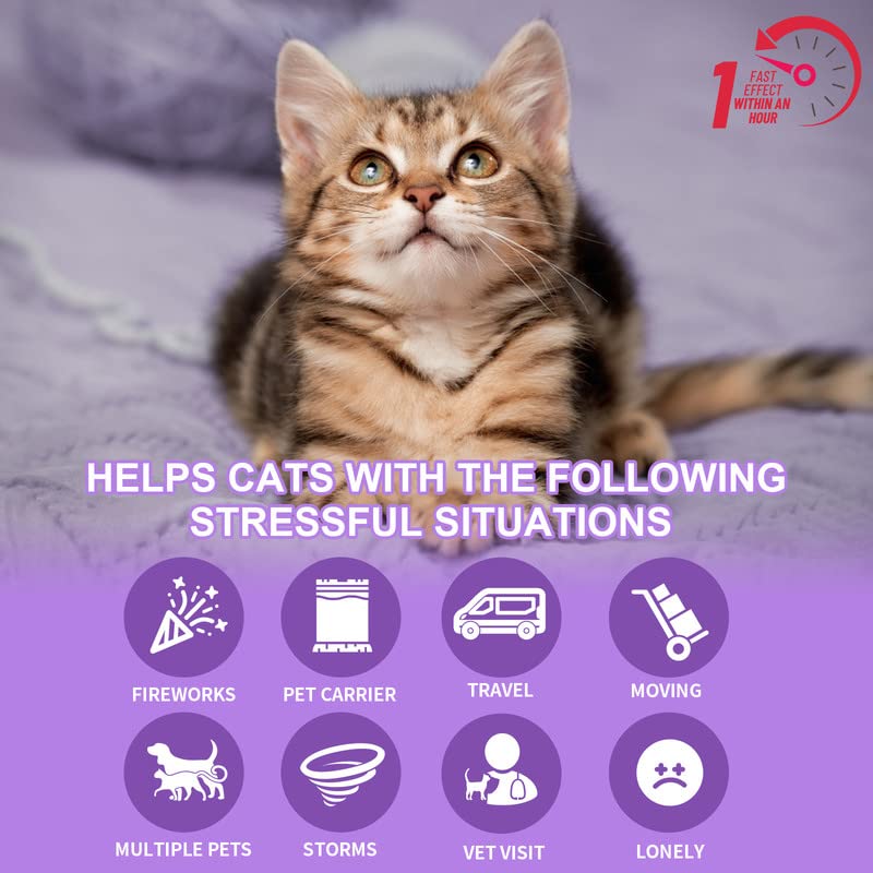 Calming Collar for Cats, Soothing Collar with Pheromones Adjustable Waterproof Calming Collar for Cats with 60 Day Effect for Kittens Medium Large Cats Purple 2 Pieces Purple-2 Pieces - PawsPlanet Australia