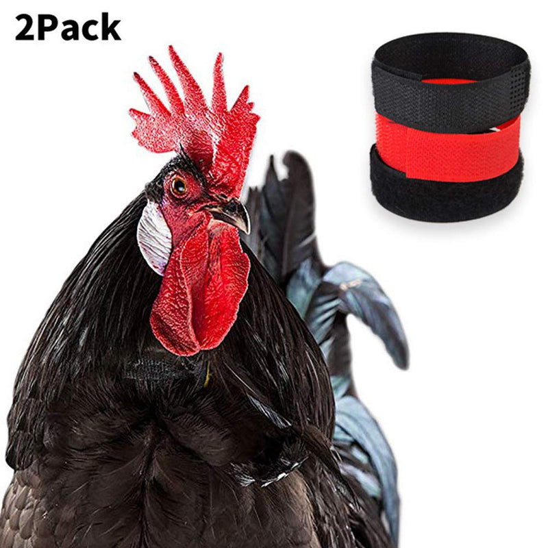 KOSTOO 2 Pack No Crow Rooster Collar, Chicken Collar Anti-Hook Noise Free Neckband Neck Belt for Roosters - Prevent Chickens from Screaming, Disturbing Neighbors (2 Pack Upgrade) 2 Pack Upgrade - PawsPlanet Australia