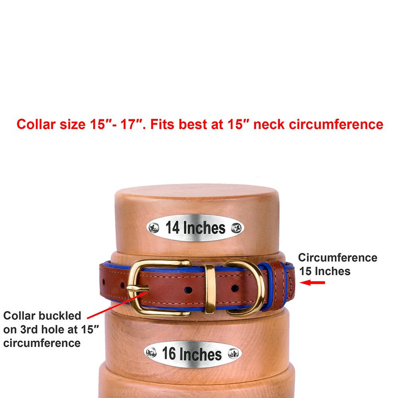 [Australia] - CollarDirect Leather Dog Collar Brass Buckle Soft Padded Puppy Small Medium Large Red Pink Blue Green Orange Purple Yellow Neck Fit 15"-17" 