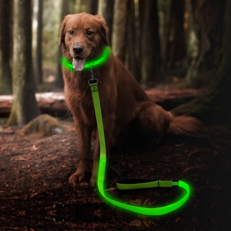 [Australia] - BSEEN LED Dog Leash - USB Rechargeable 47.2 inch 120 cm Reflective Night Safety Pet Leash LED Strip to Keep You and Your Dog Safe Neon Green 