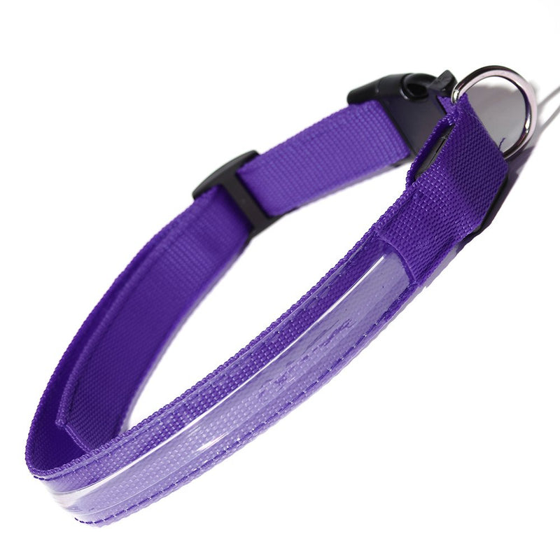 [Australia] - Paws & Pals LED Pet Neck Collar Flashing Color Light Up Night Safety Strap, X-Large, Purple 