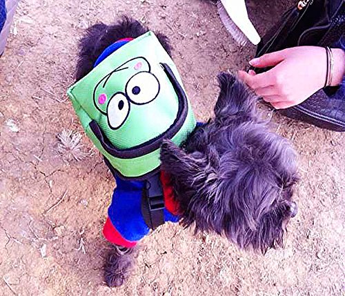 [Australia] - Vivi Bear Cute Animation Drawing Snacks Backpack for Puppy Dogs Cartoon Purse for Small Dogs M (5.5*7") Frog 