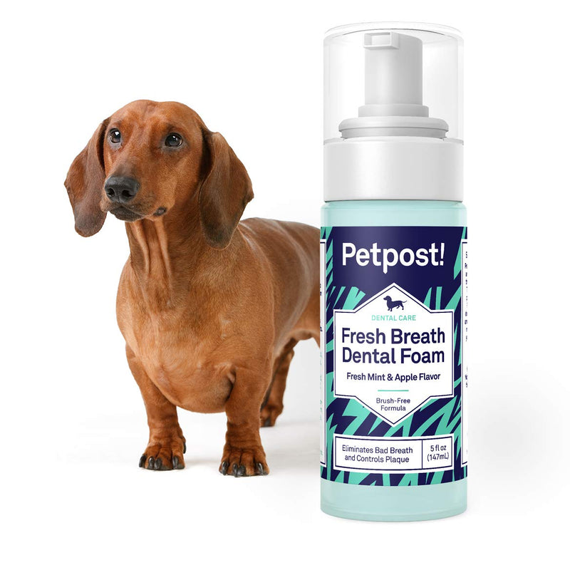 Petpost | Fresh Breath Foam for Dogs - Mint & Apple Flavored Dental Solution that Kills Bad Breath - Plaque and Tooth Decay - Natural Tooth Cleaning Treatment (Fresh Mint & Apple, 5 oz.) Fresh Mint & Apple 141.7 g (Pack of 1) - PawsPlanet Australia