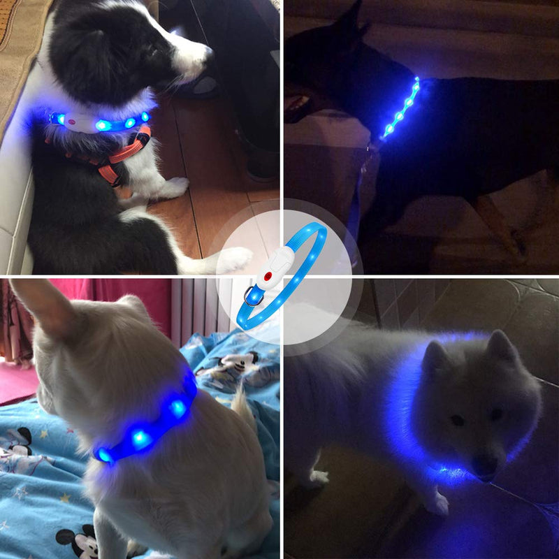 Oladwolf Light Up Dog Collar, LED Dog Collar Lights for the Dark, Ultra Bright USB Rechargeable Cut to Fit Any Size Flashing Dog & Cat Collar Waterproof Blue - PawsPlanet Australia