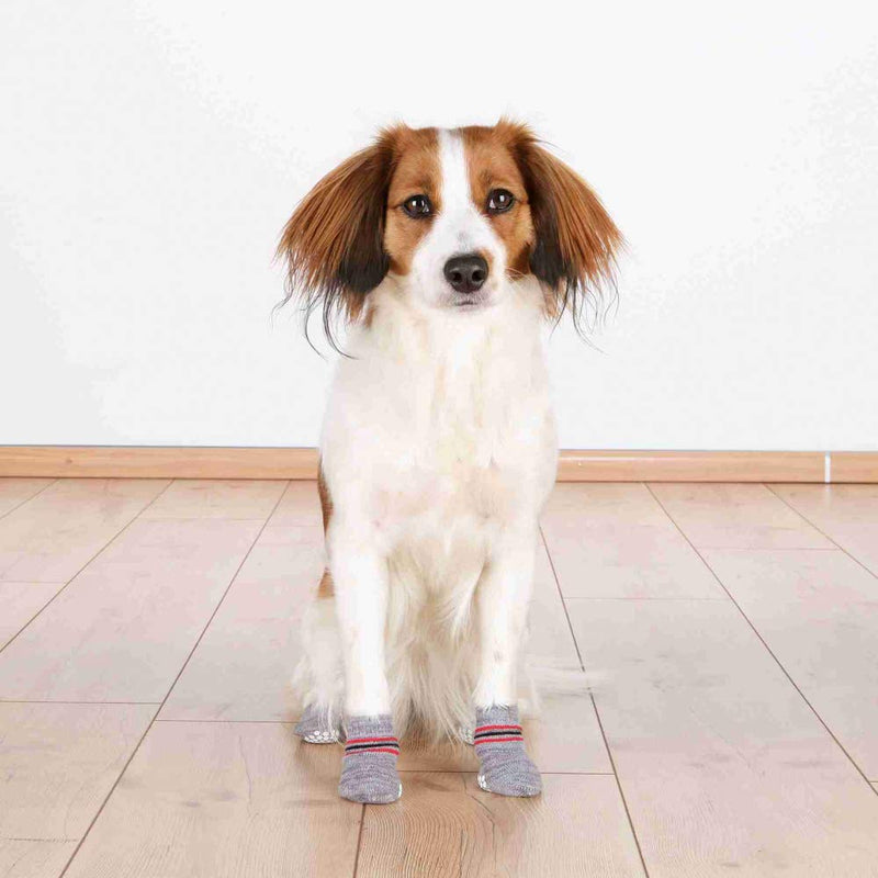 Trixie Hundesocken, Anti-Rutsch, M–L, 2 St., grau Medium-Large - PawsPlanet Australia