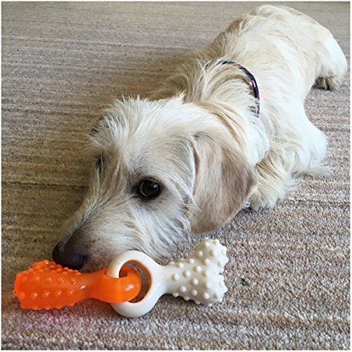 Rosewood Duo Dental Tug Puppy Bone Dog Toy - PawsPlanet Australia