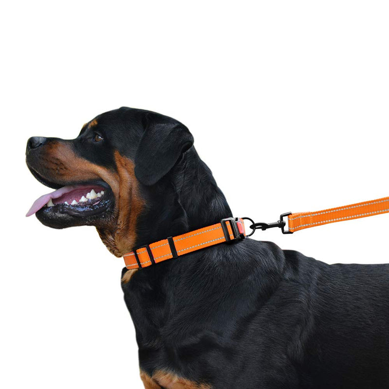 [Australia] - CollarDirect Reflective Dog Collar with Buckle Adjustable Safety Nylon Collars for Dogs Small Medium Large Pink Black Red Blue Purple Green Orange Neck Fit 14"-18" 