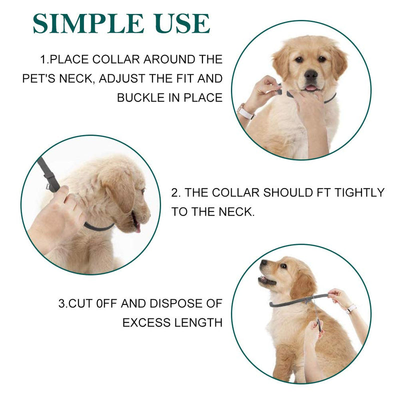 SEGMINISMART Flea and Tick Collars for Dogs Cats,Pet Flea Tick Treatment 8 Month Protection,Waterproof Natural Safe Adjustable Size - PawsPlanet Australia