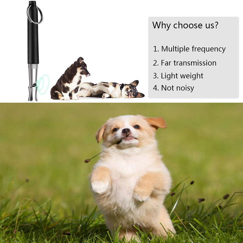 KMNKSCN Dog Whistle to Stop Barking Adjustable Pitch Stainless Steel Dog Whistle with Lanyard Pet Dog Training Tool - PawsPlanet Australia