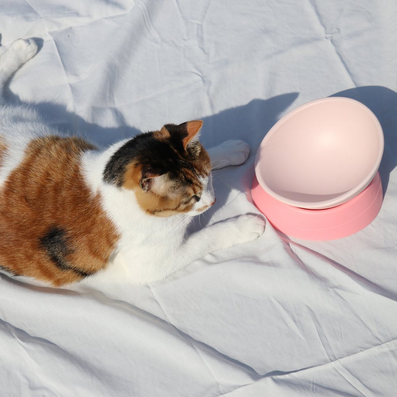 [Australia] - PETHOUZZ Flat Face Cat Food Bowl, Adjustable Tilt Angle - Protect Pet's Spine, Rasied and Non-Toxic Silica Gel Bowl fot Puppies and Cats pink 