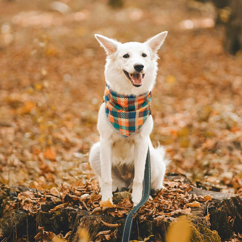 PUPTECK Autumn Day Dog Bandanas - 4PCS, Soft, Classic Plaid, Flower and Small Animal Pattern, Cute, Washbale, Adjustable - PawsPlanet Australia