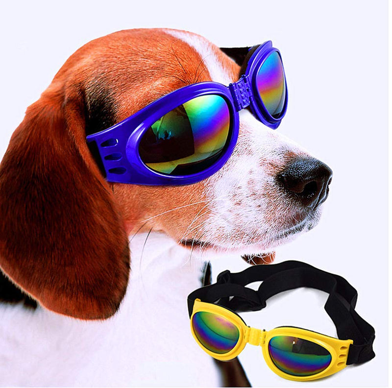 DPLUS Dog Goggles Dog Sunglasses - Glasses Set of 6 - for Dogs Dog Ski Goggles with UV Protection Pet Sunglasses with Adjustable Strap for Travel, Skiing and Anti-Fog - PawsPlanet Australia