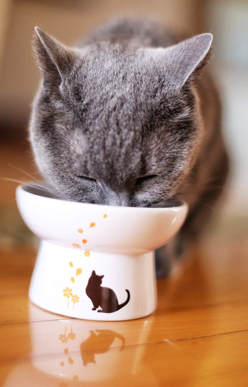 Minibees Raised Cat Bowl,Elevated, Porcelain Made, Pet Supplies, Backflow Prevention, Stress Free, Small to Medium, Safety Choice for Your pet, Superior for Wet and Dry Food - PawsPlanet Australia