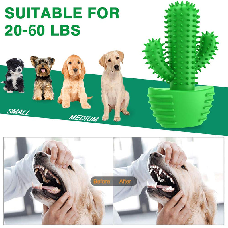 [Australia] - Dog Chew Toothbrush Teeth Cleaning Toys Puppy Brushing Stick Dental Oral Care for Pet 