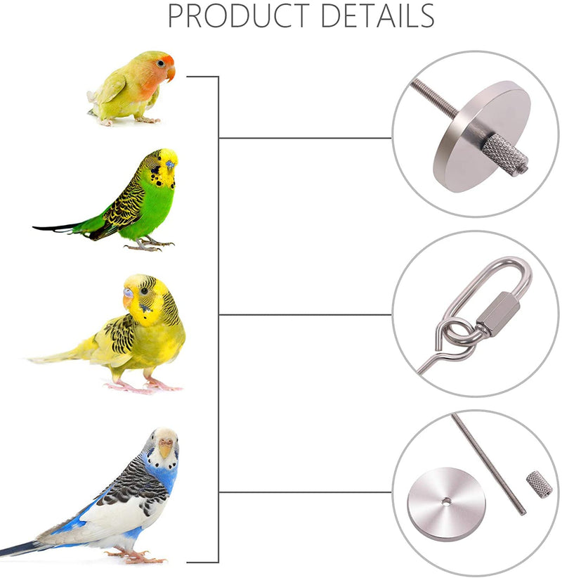 Bird Food Holder, Bird Feeders, Stainless Steel Parrot Fruit Vegetable Stick Holder, Foraging Toy, Bird Treat Skewer (S) S - PawsPlanet Australia