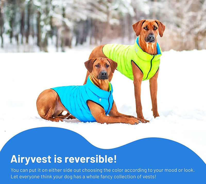 Lightweight Reversible Winter Dog Coat - Warm Dog Jacket - Water Resistant Windproof - Insulated Dog Jacket for Small, Medium & Large Dogs - Comfortable Dog Puffer Vest XS 30 Black Blue - PawsPlanet Australia