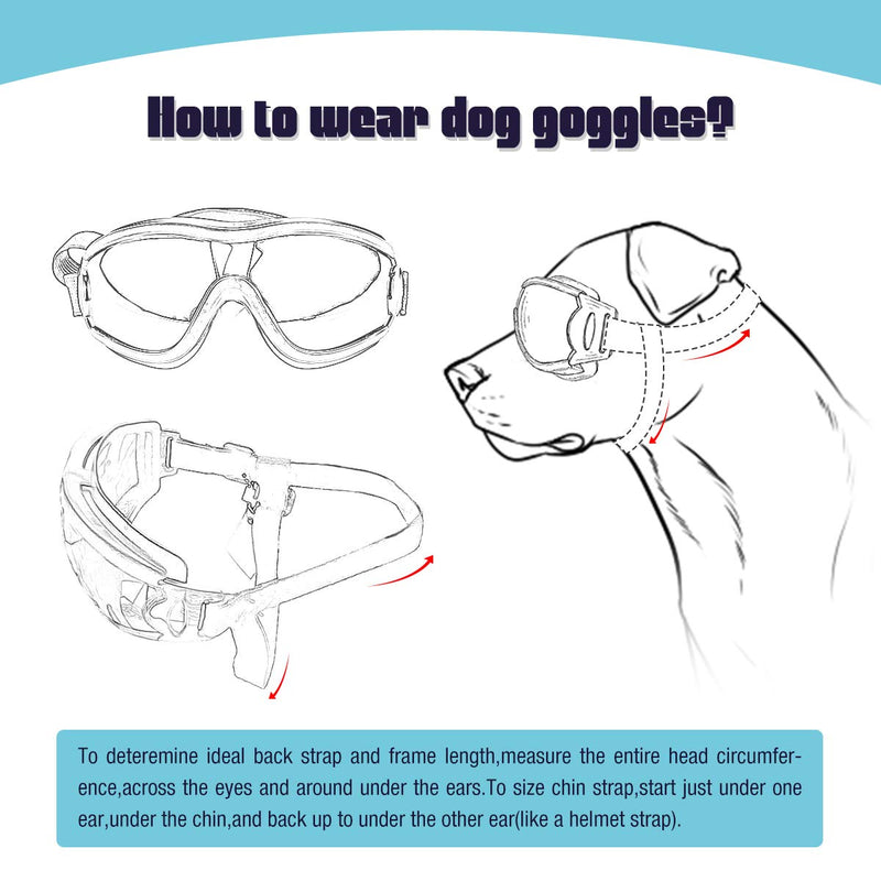 [Australia] - PETLESO Dog Goggles - Large Dog Eye Protection Doggles Windproof Sunglasses for Medium Large Dog Clear 