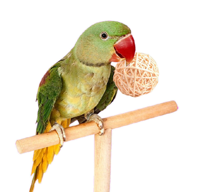 Parrot Chew Toys Bird Toys, 30 Pcs 1.2 inch Rattan Wicker Balls Parakeet Chewing Toys, for Budgies Conures Hamsters Bunny Toy, Decoration for DIY Craft Party Wedding - PawsPlanet Australia