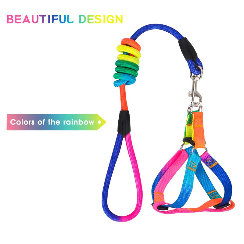 PetsHome Dog Harness & Leash Set Adjustable No Pull Safe Nylon Pet Harness with Leash for Outdoor Walking for Small to Medium Dog Rainbow - PawsPlanet Australia