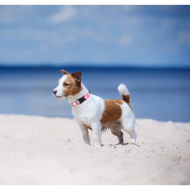 Taglory Plaid Dog Collar, Tartan Dog Collars,Nylon Pet Collars with Buckle, Adjustable for Small Dogs, S, Pink 2cm x 25-40cm Pink Plaid - PawsPlanet Australia