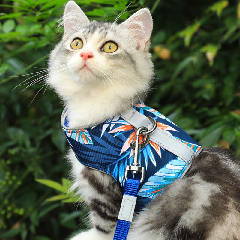 [Australia] - FEimaX Cat Harness and Leash Set for Escape Proof Walking, Soft Mesh Holster Style Adjustable Reflective Breathable Printed Vest Harness for Small and Medium Cats Kitten Kitty XS (Chest: 10.2-12'') Blue 