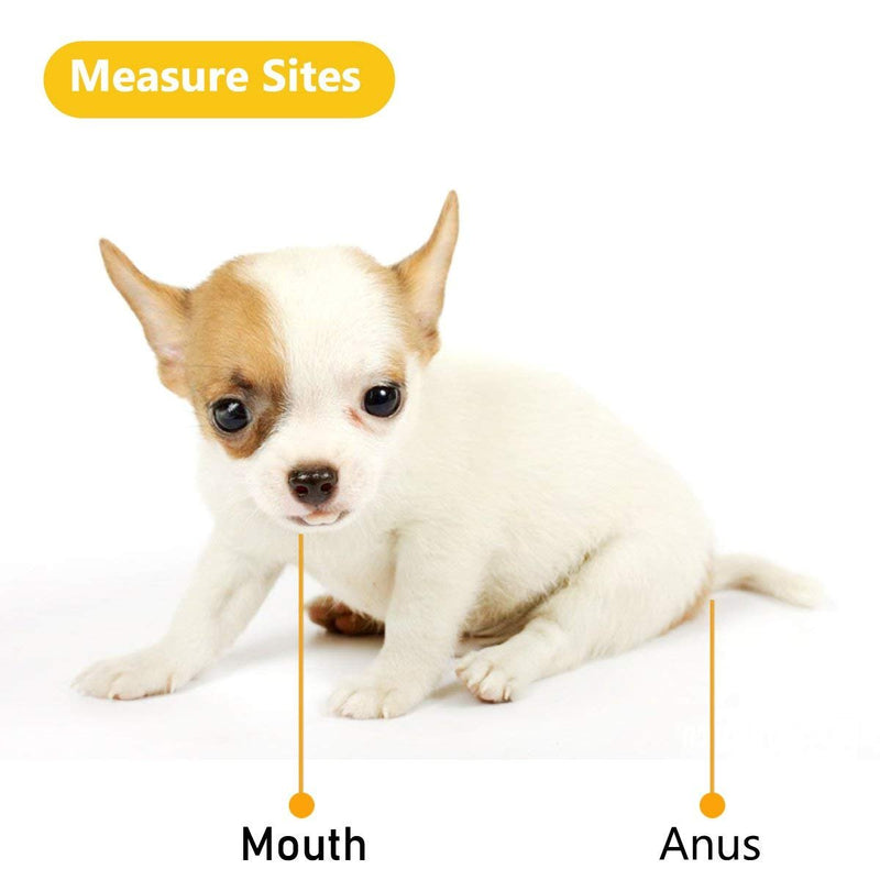 Animal Electronic Ehermometer Pet Thermometer Digital Thermometer is a Fast Rectal Thermometer for Dogs,Horse, Cats, Pigs,Sheep - PawsPlanet Australia