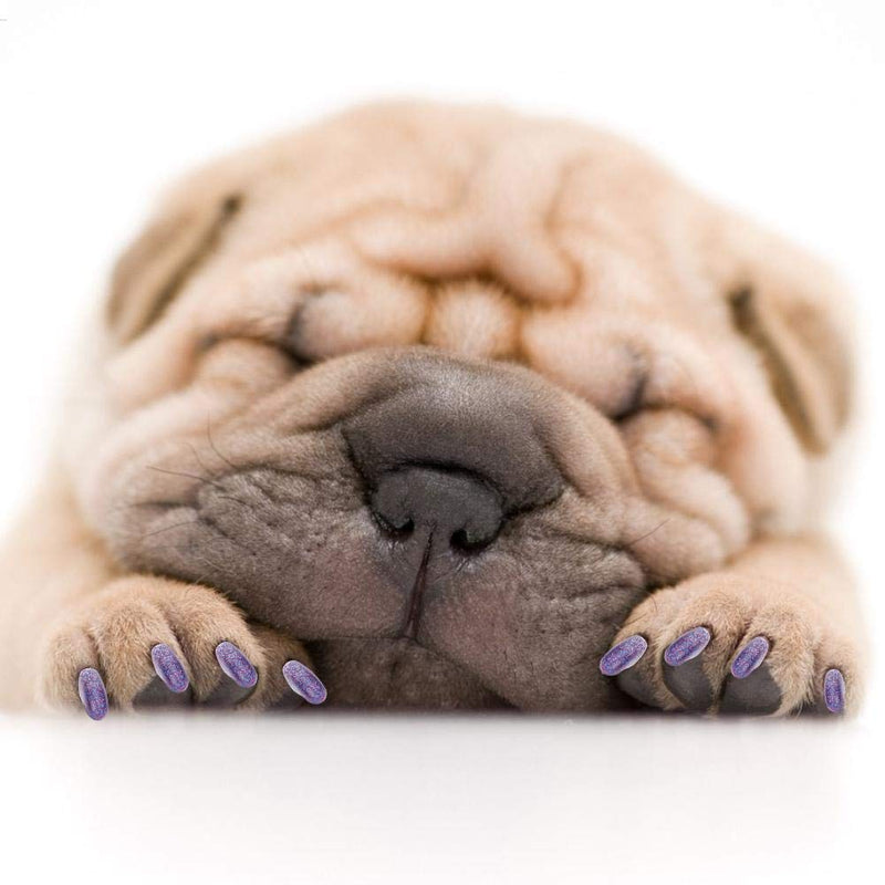 Hffheer Dog Nail Caps, Pack of 100 Colorful Soft Pet Claw Nail Caps Cover Paw Control with Glue and Applicators for Dog Claws (Violet L) Violet L - PawsPlanet Australia