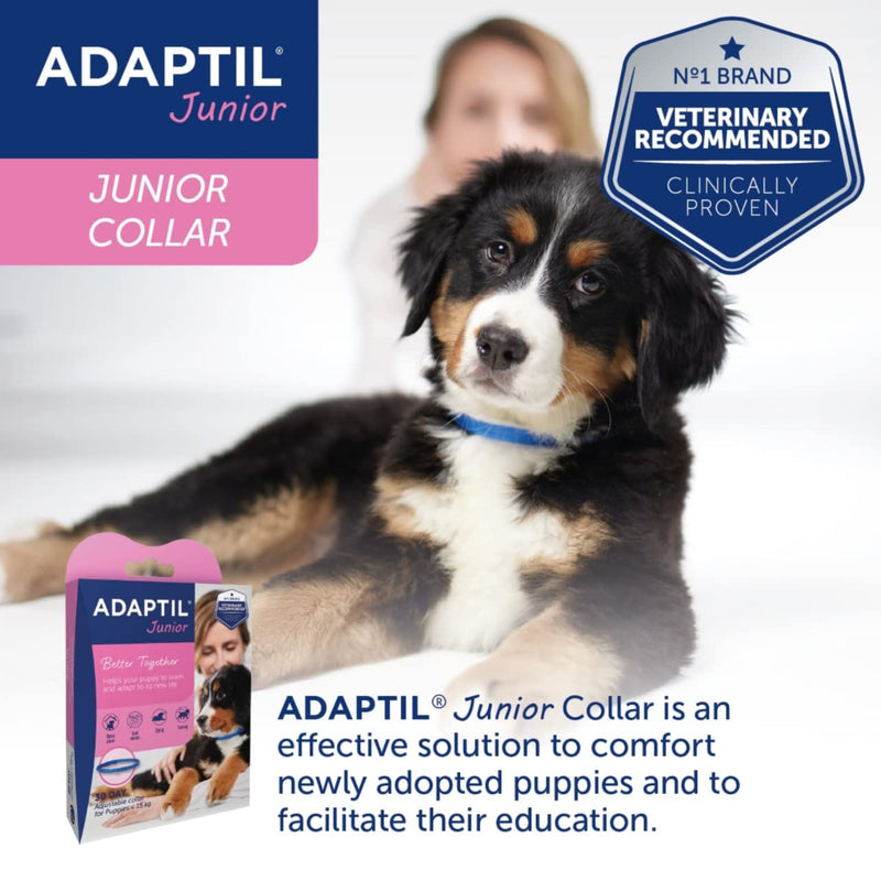 ADAPTIL Junior Adjustable Collar for puppies, proven to help reduce night crying, comfort when left home alone, training and socilisation - Puppy 1 Baby blue - PawsPlanet Australia