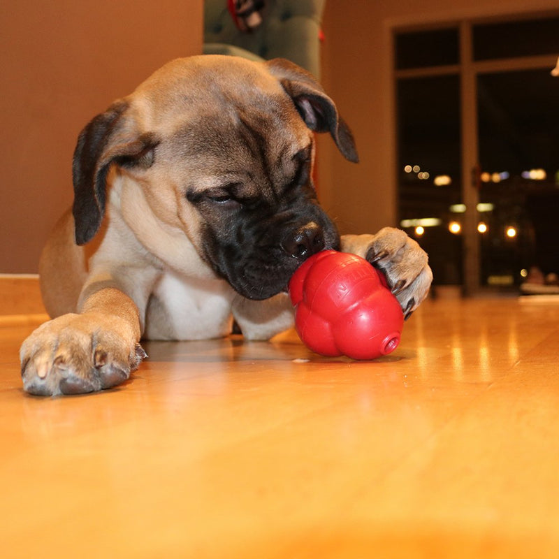 [Australia] - Titan Busy Bounce, Tough Durable Treat Dispensing Dog Toy With Unpredictable Bounce | Made in USA Large 