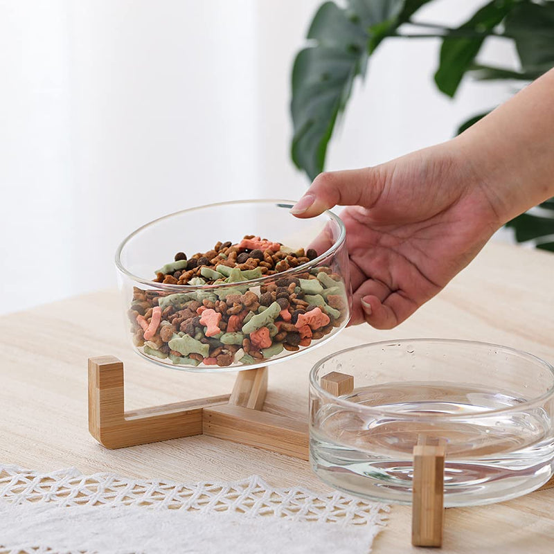 Glass Dog Bowl Set - Cat Dog Bowls with Non Slip Wood Stand - No Spill Double Pet Dish for Food Water Feeding (2 Cup- Suitable for cat and small dog) Glass×2 - PawsPlanet Australia