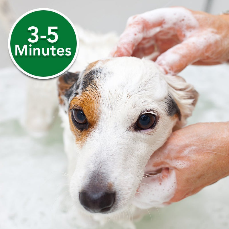 Vet's Best Flea Itch Relief Dog Shampoo | Flea Bite Relief for Dogs | Relieves Irritation and Itching from Flea Infestations - 470ml - PawsPlanet Australia