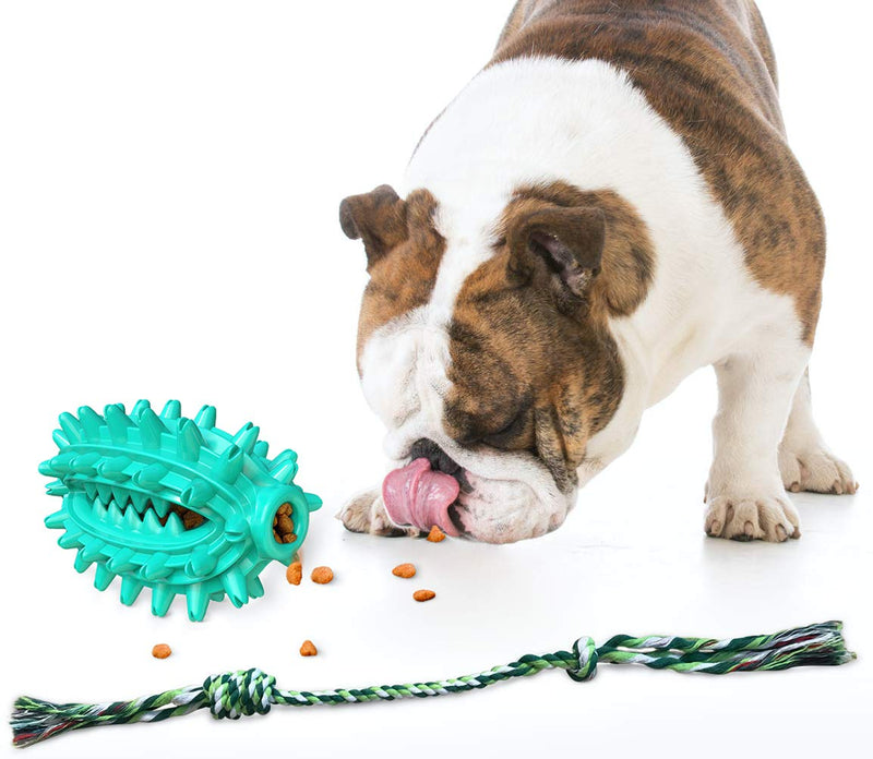 LucaSng Dog Toothbrush Toy, Cactus Shaped Dog Chew Toy with Cotton Rope, Dog Teeth Cleaning Toy, Dog Rope Toy for Small, Large Dogs and Aggressive Chewers（Blue） Blue Catus+Cotton - PawsPlanet Australia