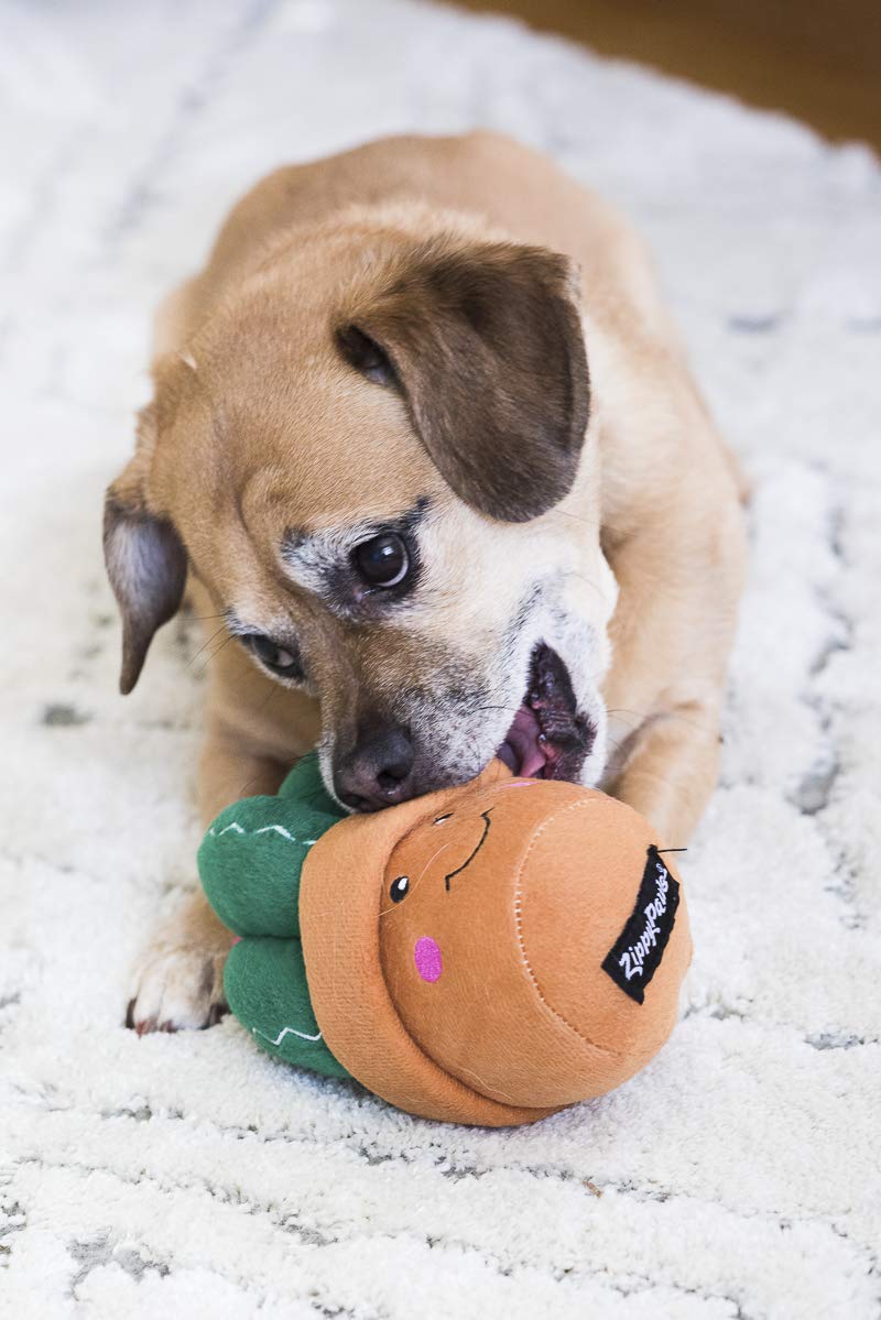 [Australia] - ZippyPaws - Stuffed Plush Dog Toy with Squeaker - Carmen The Cactus 