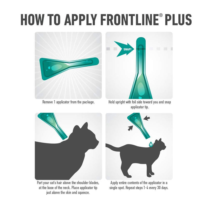 Frontline Plus Flea and Tick Treatment for Cats - PawsPlanet Australia