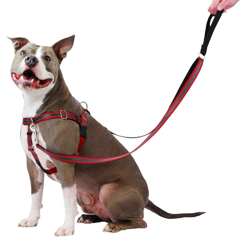 [Australia] - 2 Hounds Design Freedom No-Pull Dog Harness with Leash, Reflective, Adjustable Comfortable Control for Dog Walking, Made in USA Medium Red 